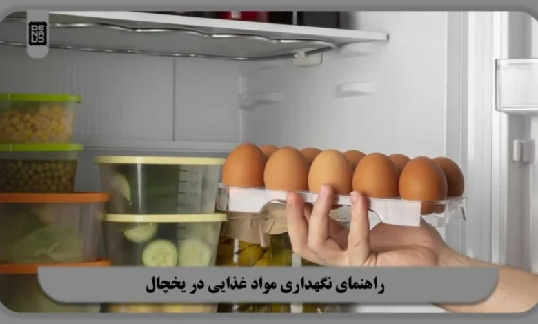 راهنمای نگهداری مواد غذایی در یخچال: فوت‌وفن‌هایی که کمتر گفته شده‌اند
