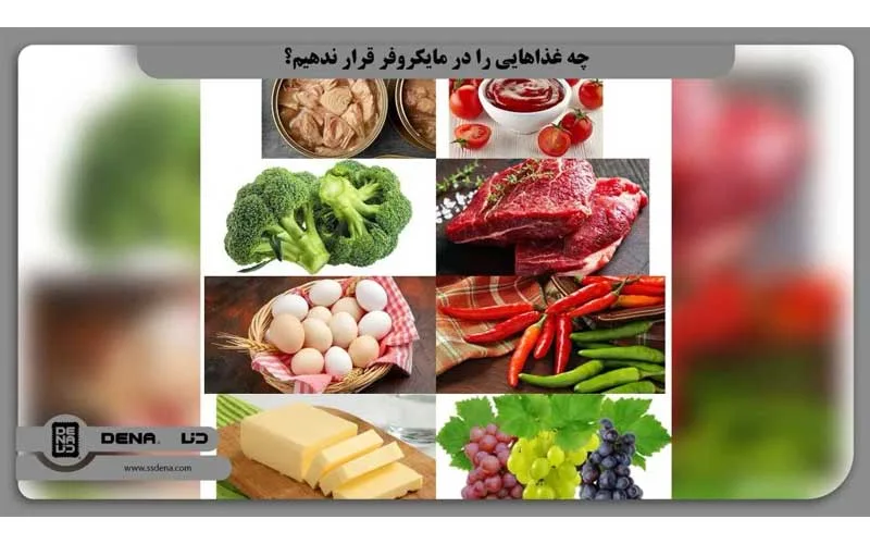 غذا های قابل استفاده در مایکرویو
