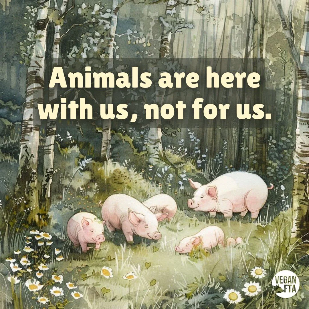 Why Compassion Matters: Confronting the Hidden Psychological Cost of Animal Cruelty