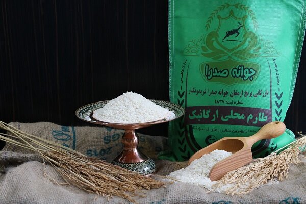 برنج طارم
