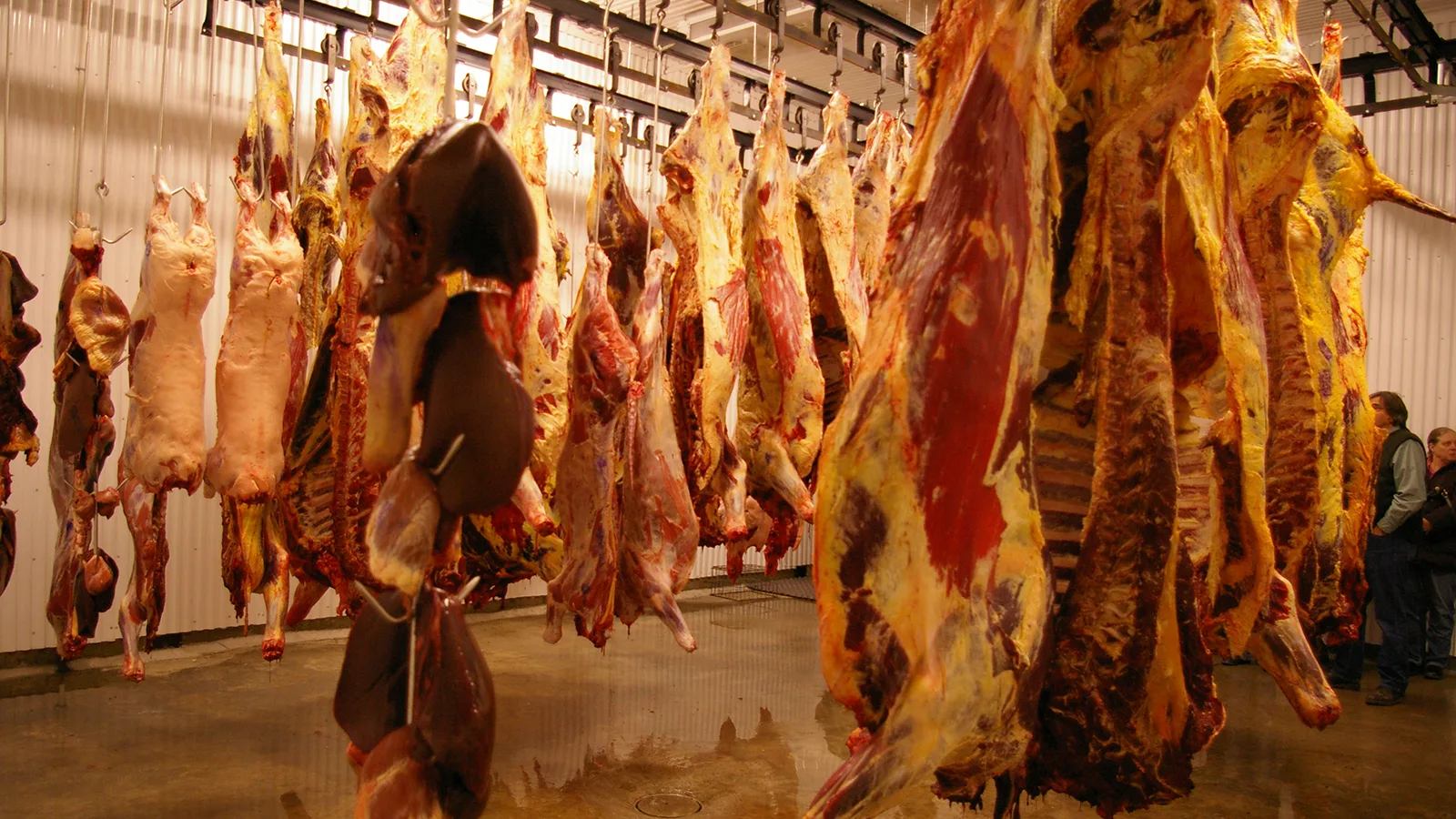 cruelty.farm
