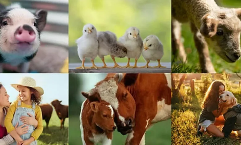 🥛 حقیقت پشت لبنیات: بررسی علمی مضرات سلامتی محصولات لبنی و جایگزین‌های گیاه‌محور