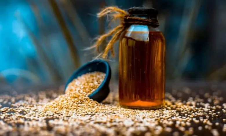 چطور با فیلتر پرس از کنجد و سویا روغن طلایی بکشید و میلیونر شوید!
