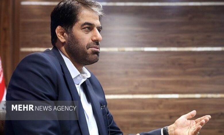ناظریان: تامین برق ۱۳۰۰۰ کیلومتر شبکه روشنایی با وجود اصابت‌های روزانه