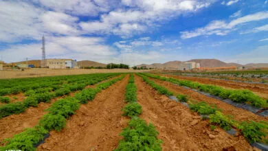 ارتباط صنعتی