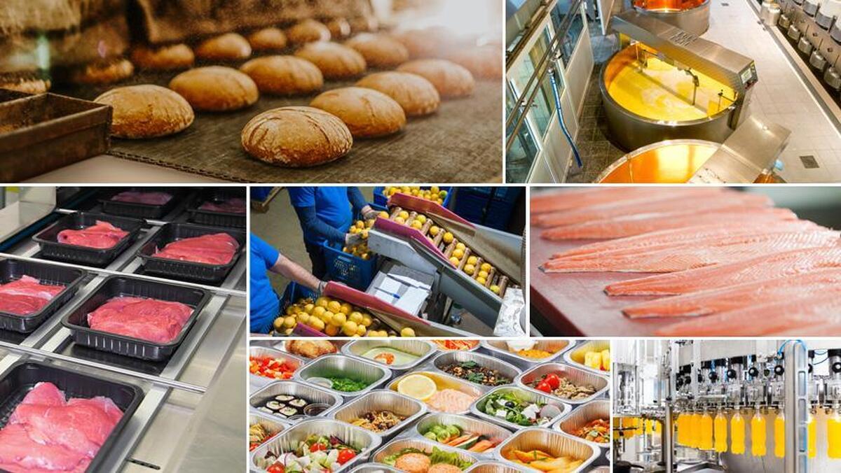 اخذ مجوز بسته بندی مواد غذایی  راهنمای کامل مراحل، شرایط و مدارک لازم