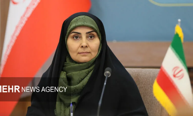 صادق: تمرکز بر بازسازی، استیجار، تکمیل و تحویل مسکن ملی است