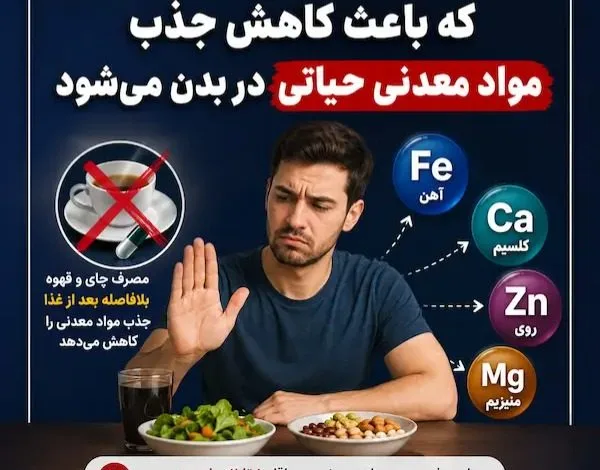 جذب مواد معدنی حیاتی در بدن