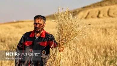 ارتباط صنعتی