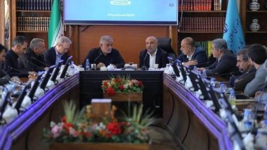 میدری: حمایت از معیشت مردم با همکاری دولت و مجلس دنبال می‌شود