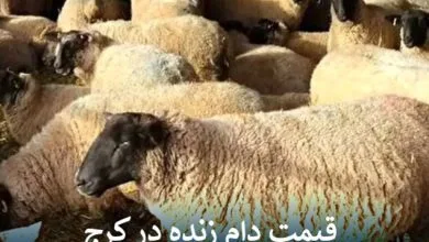 ارتباط صنعتی